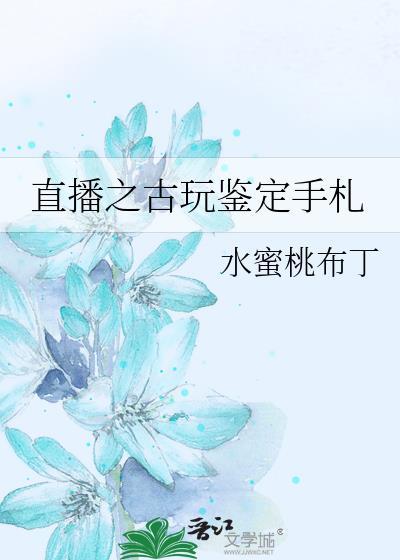 直播之古玩鉴定手札TXT