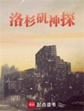 洛杉矶警探电视剧