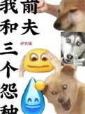 我和三个怨种前夫分别是谁