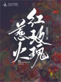 惹火的玫瑰泰剧