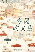 冬风吹走几多个月夜