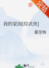 我的家园综武侠无防盗