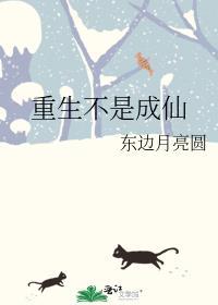 重生不是成仙TXT电子书
