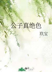 公子真绝色 玖宝免费阅读又名什么