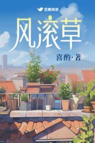 风滚草是什么植物