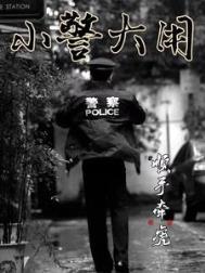 小警大用改编的电视剧叫什么名字