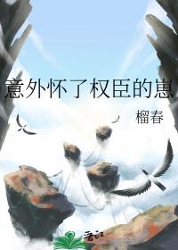 意外怀了权臣的崽by谦野