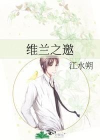 维兰之邀讲的啥