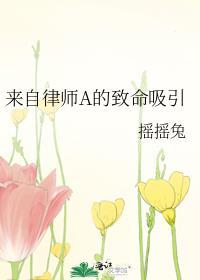 来自律师a的致命吸引作者摇摇兔