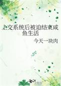 上交系统后被迫结束咸鱼生活TXT