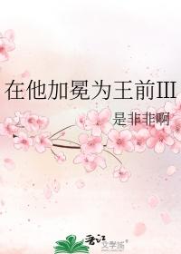 在他加冕为王前晋江