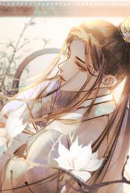 红楼林家子广播剧