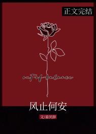 风止何安叶芷安免费阅读