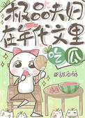 年代文里的极品夫妻作者查查