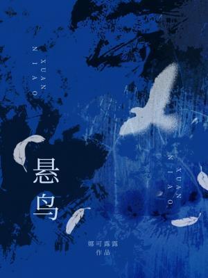 悬鸟讲的什么