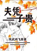 太子他父凭子贵