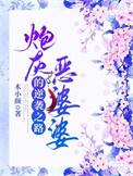 炮灰婆婆的人生(快穿)叮当网