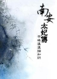 南安太妃传晋江文学城
