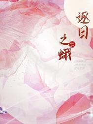 逐火之蛾第二章支线