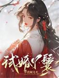 试婚丫鬟by毕贵圆儿