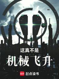 这真不是机械飞升好看吗
