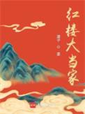 红楼大房太太