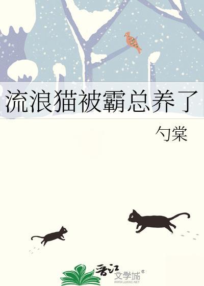 被流浪猫缠上怎么办