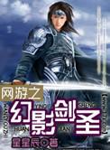 网游之剑影舞者