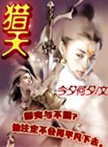 猎天使魔女有几部