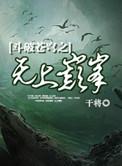 斗破苍穹之无上境界