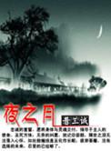 夜之月英语怎么说