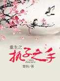 重生之执子之手章节目录