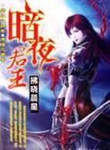 暗夜君王叶君临