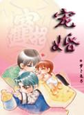 宠婚完整版