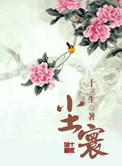 尘寰问鼎