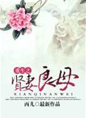 重生之贤妻不闲