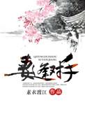 妻逢对手讲的什么