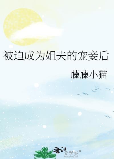 被迫成为姐夫的宠妾后漫画全集