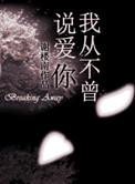 从来不说我爱你
