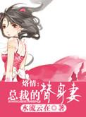 总裁的替身娇妻电视剧