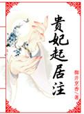 贵妃起居注类似