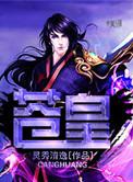 苍皇一夜