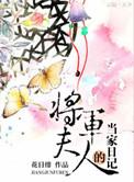 将军夫人的当家日记写的什么故事