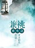 重生之兼祧书评
