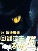 回到过去变成猫阅读