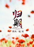 总裁离婚后故事
