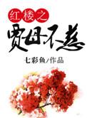 红楼之贾母不慈在线阅读