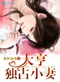 大亨独占小妻演员表