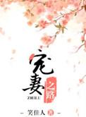 宠妻之路讲的是什么