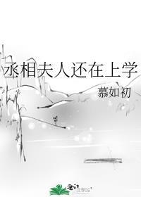 丞相夫人还在上学番外生仔